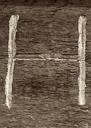 Wall_Art_Alphabet_Photography_Art_ 772